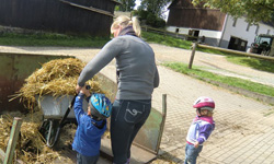 Auch bei der Stallarbeit helfen die Kinder mit