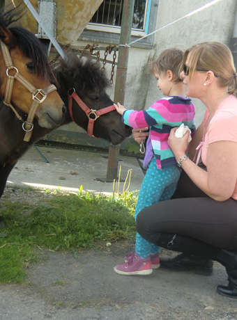 Reittherapie Julia Spelsberg