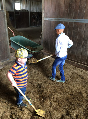 Erfolgreich in der Schule