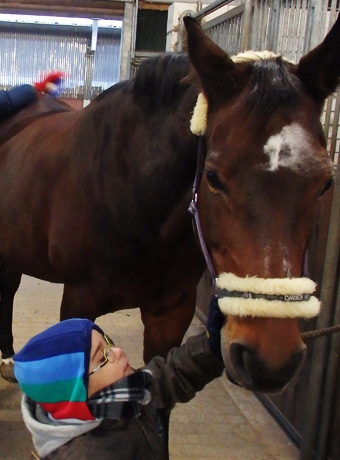 Weiterbildung als Reittherapeuten