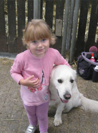 Weiterbildung als Reittherapeuten