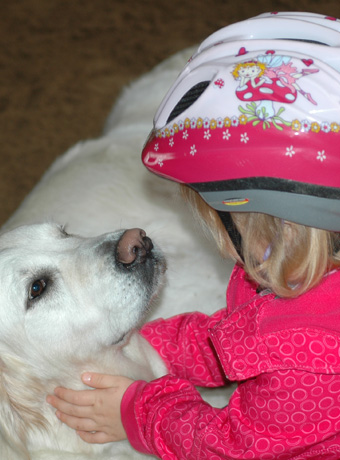 Therapie mit Pferden